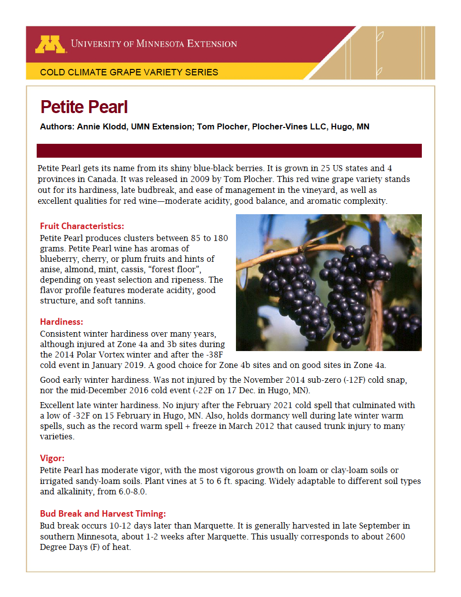 Image of Petite Pearl fact sheet