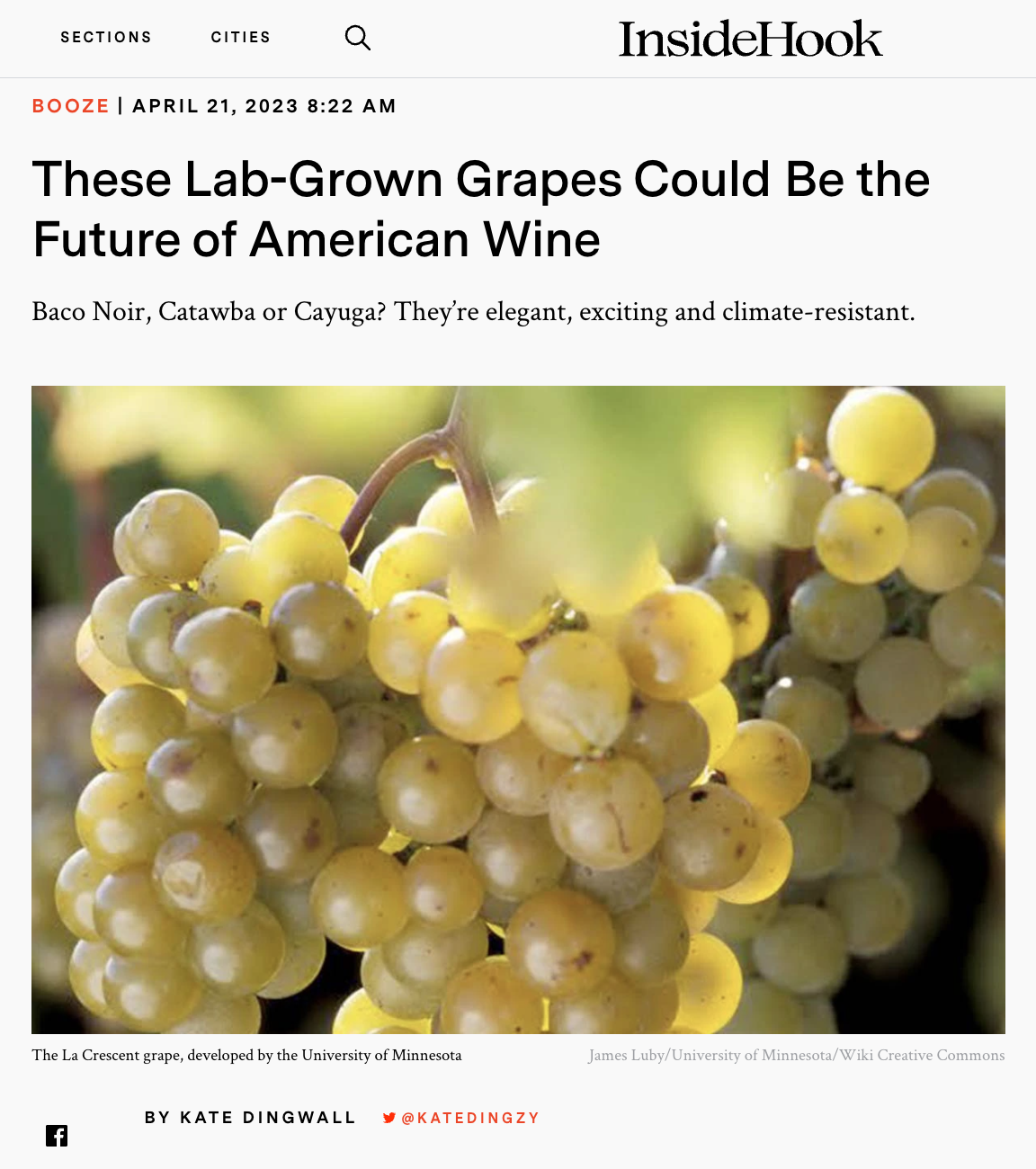 Screenshot of InsideHook article about hybrid grapes