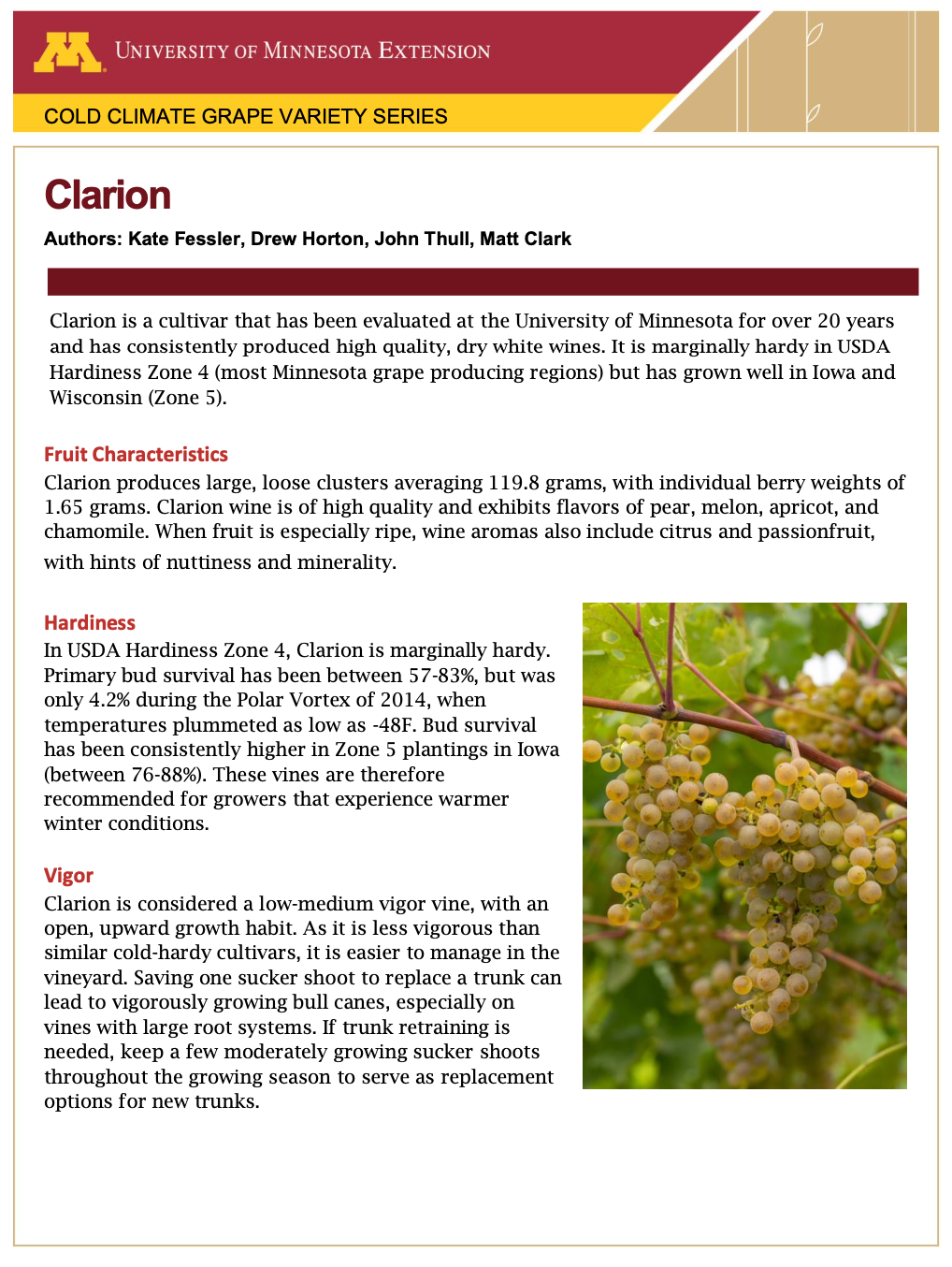 Image of the first page of the Clarion fact sheet